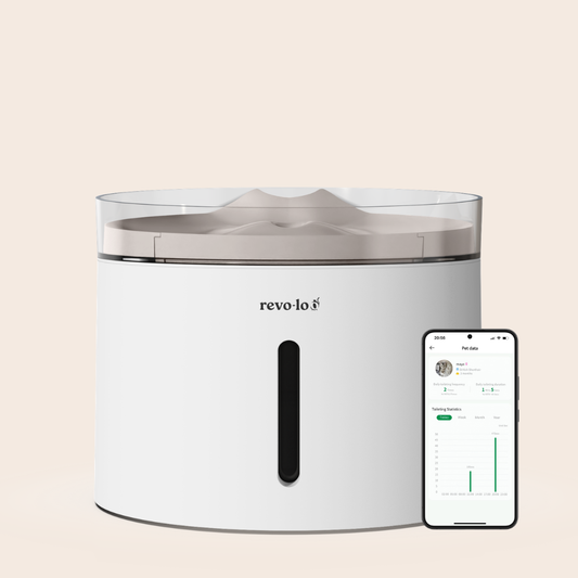 Revo-loo Stream